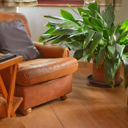 شقة Apartmaji Boka *